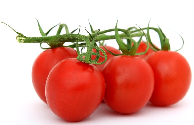 European Cuisine